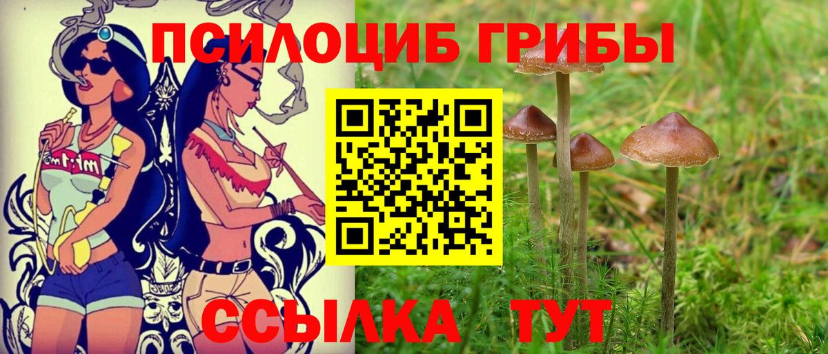 Псилоцибиновые грибы MAGIC MUSHROOMS  Псилоцибиновые грибы ЛСД  Трёхгорный  Вход с VPN 